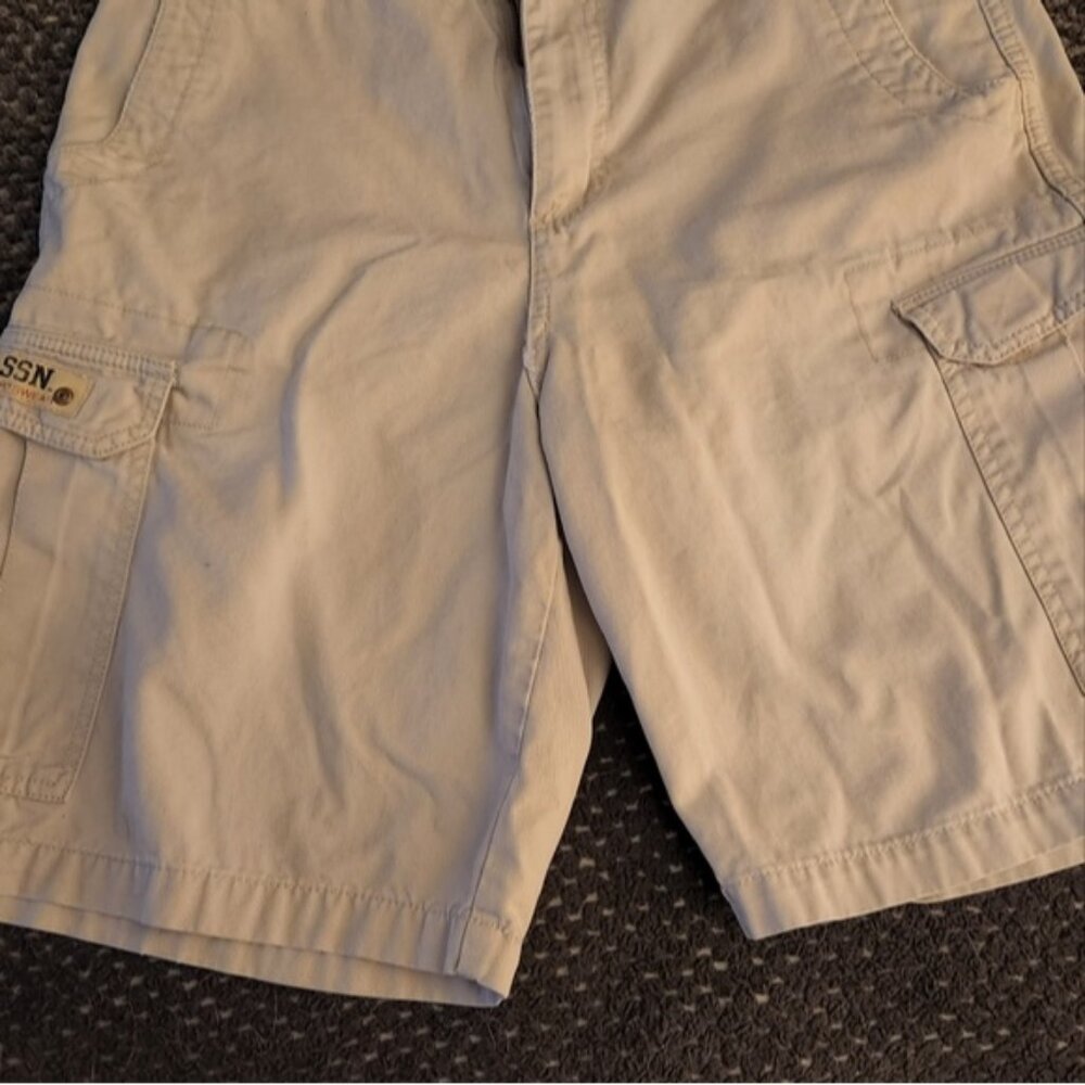 Men U.S. Polo Assn. Shorts